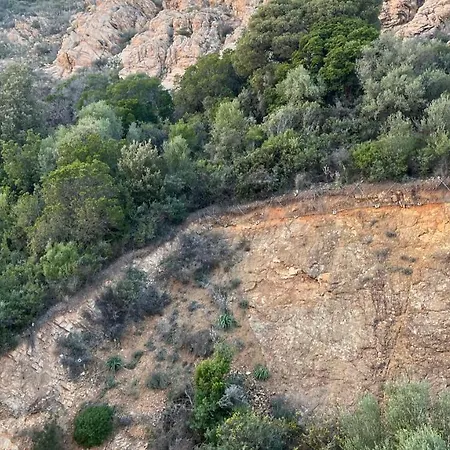 T4 De Gamme Route Des Sanguinaires Appartamento